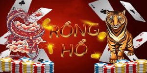 rồng hổ NET88